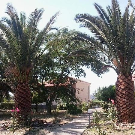 סקאלה קאלוניס Oasis Studios מראה חיצוני תמונה